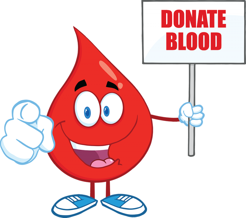 Blood Drive | Boothbay Register